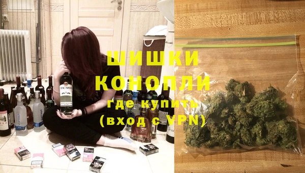 мдпв Новодвинск