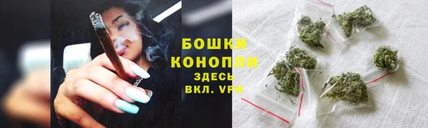 твердый Новозыбков