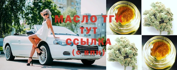 твердый Новозыбков