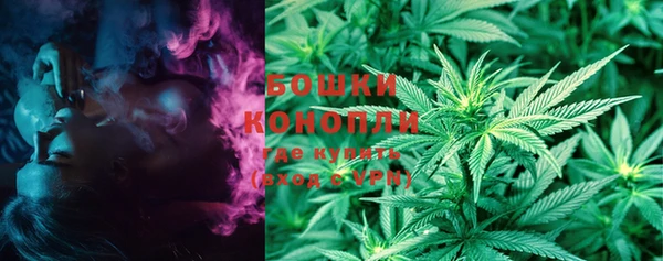 твердый Новозыбков
