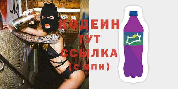 твердый Новозыбков