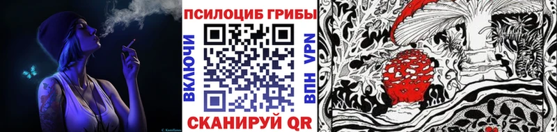 Галлюциногенные грибы Cubensis где найти Северск